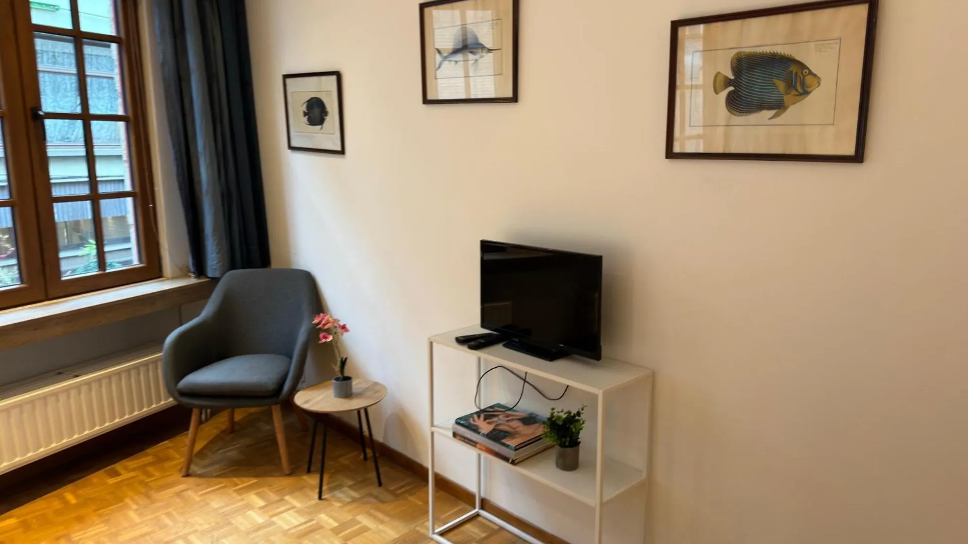 Apartment Two Bedroom Loft In The City Center By The Meir Antwerp Belgium