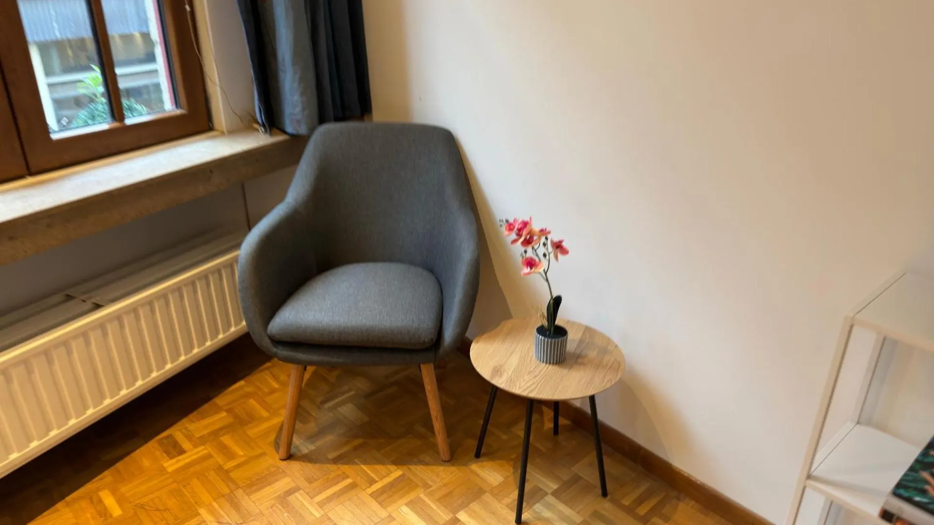 Two Bedroom Loft In The City Center By The Meir Antwerp