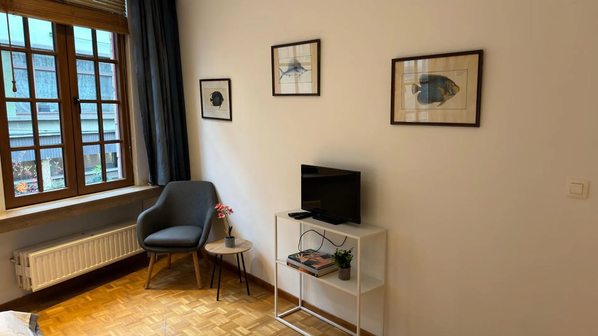 Two Bedroom Loft In The City Center By The Meir Antwerp 0*,